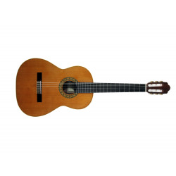 GUITARE ESTEVE MOD.1 F/E BUBINGA