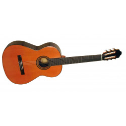 GUITARE ESTEVE 6PS