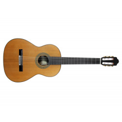 GUITARE ESTEVE MOD.7 F/E COCOBOLO