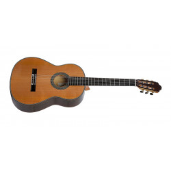 GUITARE ESTEVE 65 ANOS