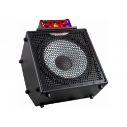 ASHDOWN - ORIGINAL-C115-300-NEO