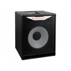 ASHDOWN - RM-112T-EVO-II baffle