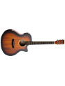Guitare Electro-Acoustique Tanglewood - Discovery DBT VCE SB G