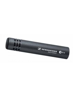 Location Micro Overhead Sennheiser E614