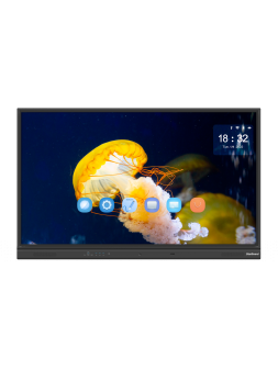 Ecran Interactif STARBOARD 65" YL5X HIFI – Androïd 11 – Mém 8+64Go