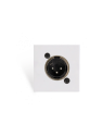 Audac - CP45XLFS-W
Plastron 45x45 - XLR mâle Blanc