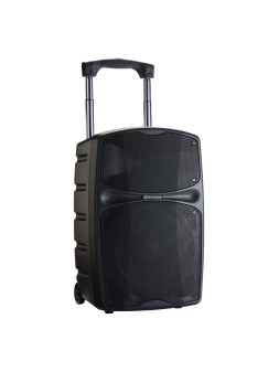 Sono Portable Audiophony RACER250 Evo
Enceinte portable de 12 pouces 250 W RMS sur batterie