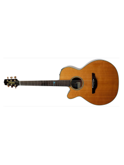 Takamine FSF40C-LH Santa Fé