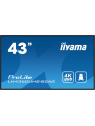 Moniteur Dynamique IIYAMA 43" (3840x2160) 4K UHD