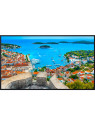 Ecran LCD PANASONIC - TH-75SQE2W
75" (189 cm) 4K