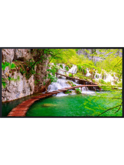 Ecran LCD PANASONIC - TH-55CQE2W 55" (140 cm) 4K