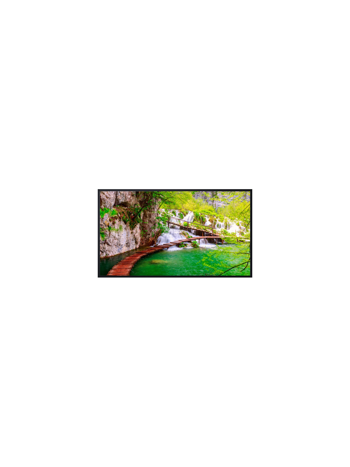 Moniteur Panasonic CQE2W - 50" (127 cm) 4K