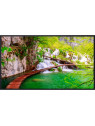 Moniteur Panasonic CQE2W - 50" (127 cm) 4K