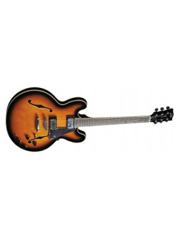 Guitare Electrique Hollowbody - Type Hollowbody double cut - Sunburst