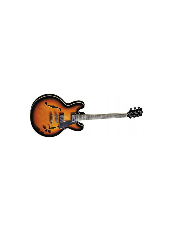Guitare Electrique Hollowbody - Type Hollowbody double cut - Sunburst