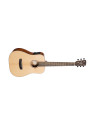 GUITARE CORT EARTH GO HYVIBE, HOUSSE

EARTHGO-BOP