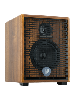 Prodipe COMBO pour guitares et instruments acoustiques