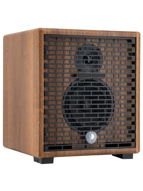 Prodipe COMBO pour guitares et instruments acoustiques