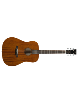 Prodipe Guitare Acoustique SD250