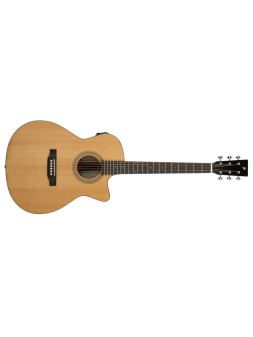 Prodipe Guitare Electro-Acoustique Auditorium SA300CEQ