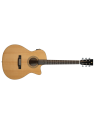Prodipe Guitare Electro-Acoustique Auditorium SA300CEQ