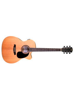 Prodipe Guitare E/A SA25CEQ