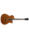 Prodipe Guitare Electro-Acoustique Auditorium SA250CEQ