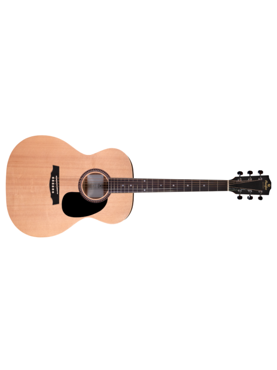 Prodipe Guitare Acoustique Auditorium SA25
