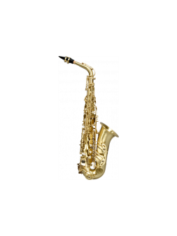 Saxophone SML Paris - A420-II-BM
Mib - Saxophone Mib étudiant, Brossé verni