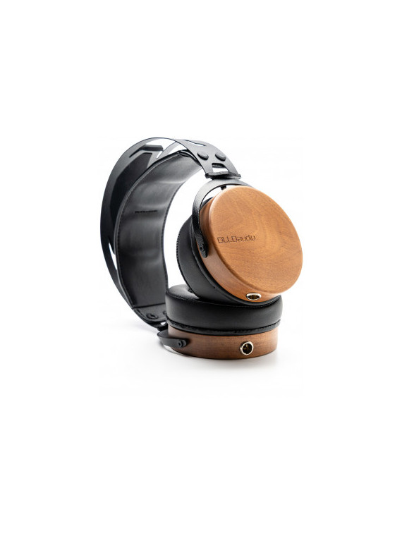 OLLO AUDIO - ROA R1 

Casque fermé v1.0