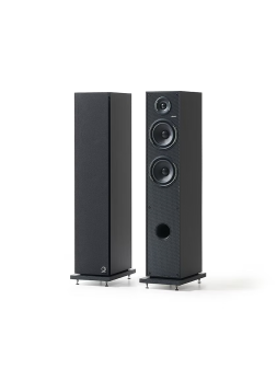 Enceinte Colonne HORUS 11F Black Carbon