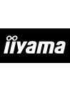 IIYAMA